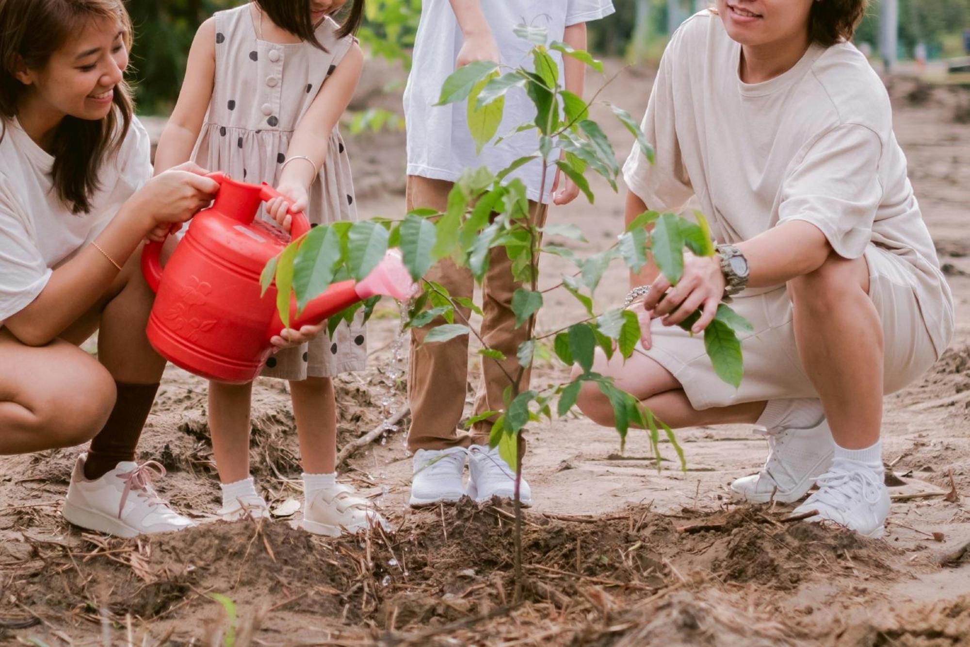 Miri Marriott Resort&Spa Exteriör bild Children planting trees